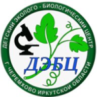 Школьный этап по спортивному ориентированию "ЗОЛОТАЯ ПРИЗМА 2025" г.Черемхово Школьный этап по спортивному ориентированию "ЗОЛОТАЯ ПРИЗМА 2025" г.Черемхово